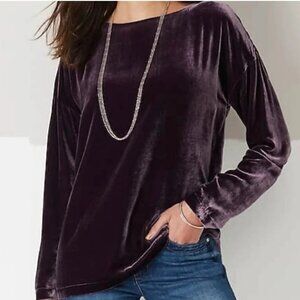 NWT New $199 J. Jill Rayon Silk Velvet Long Sleeve Dark Fig Purple Top Size M